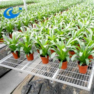 China Low Cost Galvanized Steel Frame Greenhouse Rolling Bench Factory Nursery In Canada for sale