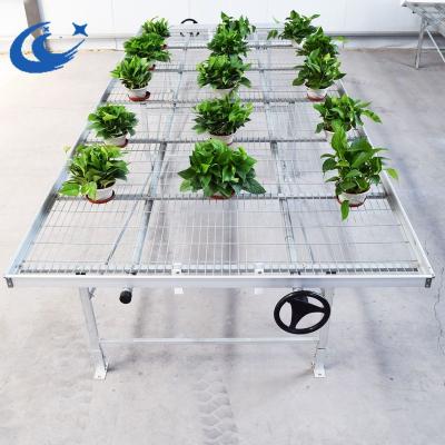 China Economical And Practical Horticulture Greenhouse Cheapest And Best Quality Rolling Benches for sale