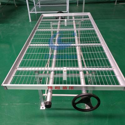 China Economical And Practical Greenhouse Steel Mesh Rolling Bench /Welded Mesh Tables (Max Length 30m) for sale