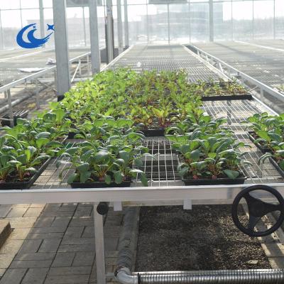 China Easily Assembled Expanded Metal Bench Top Panels Greenhouse Rolling Bench for sale