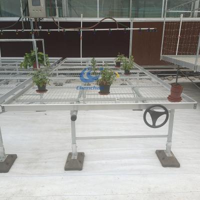 China Best Price Greenhouse Easily Assembled Hot Dipped Galvanized Expanded Plate Tables for sale