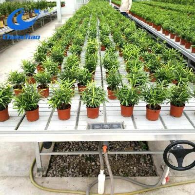 China Vegetable Agricultural Flow Backflow Plastic Flower Fruit Trays Seeding Trays Rolling Bench Systems for sale