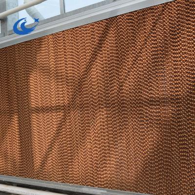 China Cooling Greenhouse Evaporative Cooling Pad / Cooling System Cooling Pad for sale