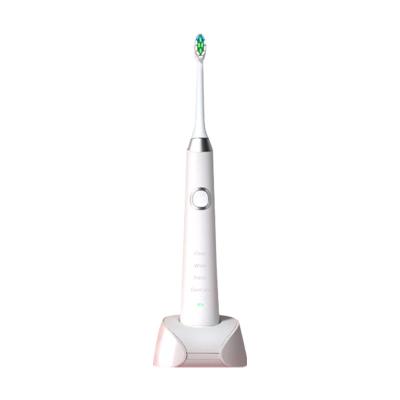 China Rechargeable Dupont SS40 Radio Sonic Electric Toothbrush For Adult Smart Use for sale