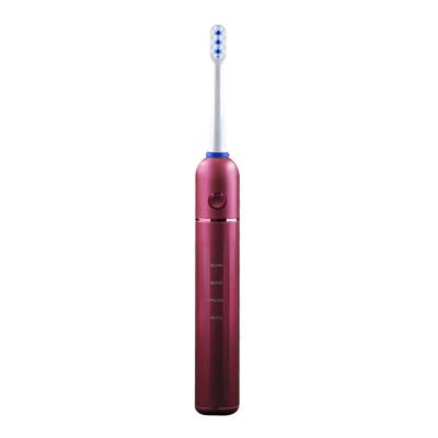 China Dupont Dongguan Waterproof ipx7 Household Powerful Sonic Cleaning Electric Toothbrush for sale