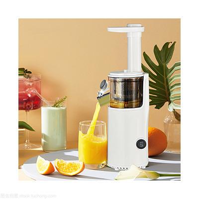 China Large Capacity Modern Industrial Juicy Commercial Manual Household Porcelain Blender Slow Juicer Extractor for sale