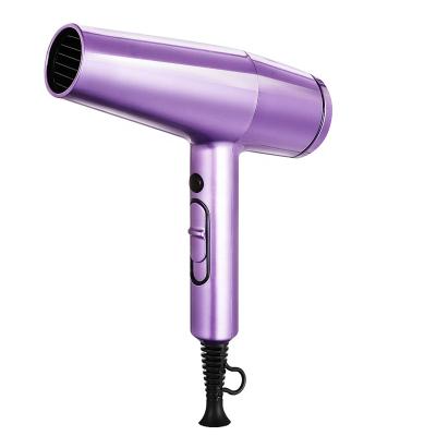 China Best One Step Hair Dryer 2000w Private Label Bldc Intelligent Ion Motor Hair Heating Lamp Professional Low Noise Infrared Hair Dryer for sale