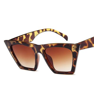 China Fashion Rectangle Sunglasses Women Designer Plastic Sunglasses Acetate Mens Fashion Sun Glasses 2021 Sun Glasses for sale