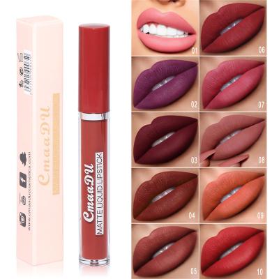 China Waterproof 10 Colors Matte Liquid Lipstick Makeup Long Lasting Lip Gloss Beauty Cosmetics Set Labial for sale