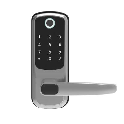 China Smart Lock Zinc Alloy Home Anti-theft Fingerprint Door Password Lock With Electronic Doorbell for sale