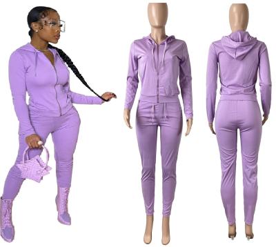 China 2021 Wholesale Breathable J&H Clothing Vendor Hoodie And Pant Women Women Two Piece Set Clothing for sale