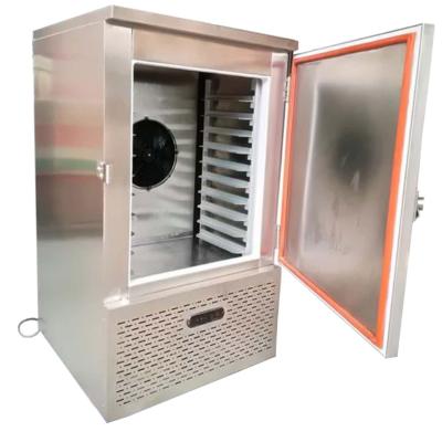 China 10 Pans 15 Trays Commercial Flash Freezer  For Refrigerated Dough And Rare Meat for sale