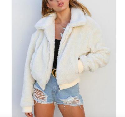 China Autumn Winter Women Faux Fur Long Sleeve Faux Fur Zipper Casual Solid Warm Jacket Teddy Coat for sale