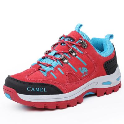 Cina EVA Autumn Hiking Shoes Warm Breathable Cushioning Non-slip Low-cut Outdoor Hiking Shoes in vendita