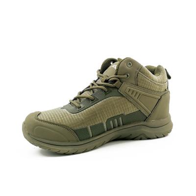 China EVA hiking shoes with four seasons shoes big price best quality safety hiking waterproof shoes for sale