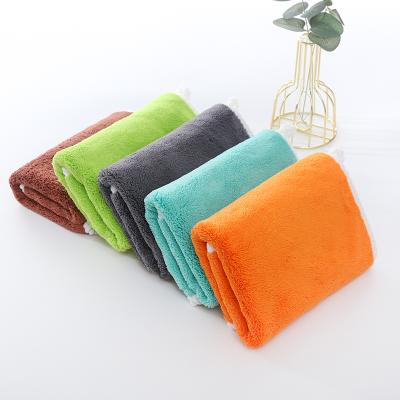 China Hot Sale Chinese Cheap Price Child Safe Polyester Nylon Water Absorption Microfiber Pet Towel For Dog for sale