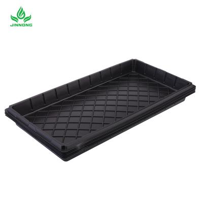 China Nursery 540*280mm Vegetable Plant Plastic Biodegradable Seed Tray for sale