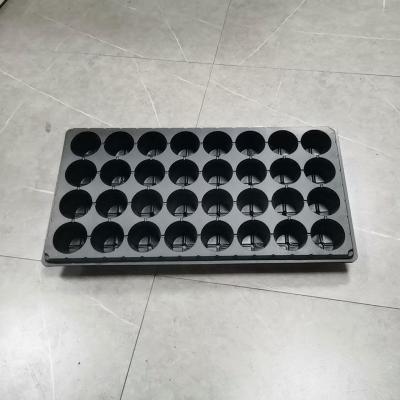 China Plant Plastic Nursery Plastic Seed Tray 32 Cells 540*280mm Gardening Wholesale for sale