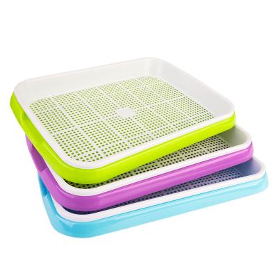 China Nursery Blue Layer Double Sprouts Plastic Seed Tray PP Seedling Growth Tray for sale