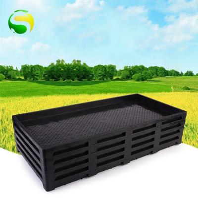 China Plastic Transplanter Seedling Germination Rice Seed Biodegradable Plastic Tray for sale