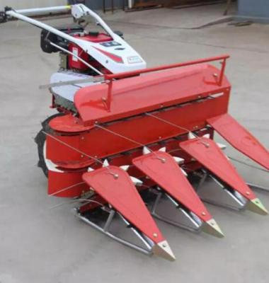 China 2-Stroke Small Size Wheat, Soybean, Pepper, Alfalfa, Reed And Corn Mower for sale