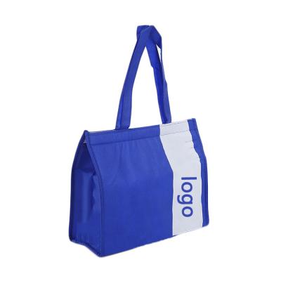 China Good Price Insulated Non Woven Insulated Cooler Bag For Packing Beer And Frozen Food Supermarket for sale