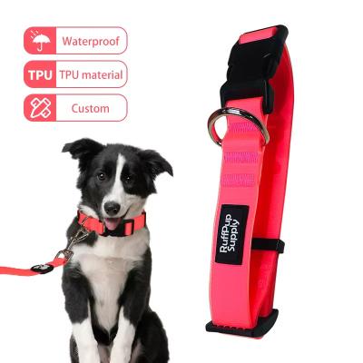 China Manufacturer Wholesale Own Design Printing Rubber Coated Custom Waterproof Dog Collar and Leash for sale