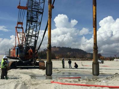 China Construction Engineering Crane Stone Column Vibro Compaction Vibroflot Steel Pile Driver Compaction for sale