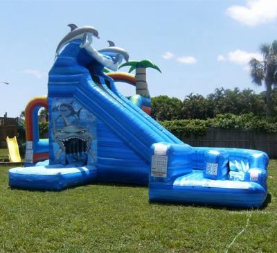 China Outdoor Or Indoor Two Inflatable Slides Dry Combo Kids Inflatable Water Slide for sale