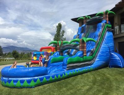 China Commercial Grade 0.55mm(1000D Best Quality Inflatable Adults Slide 60ft Wet Water Slide With Pool for sale