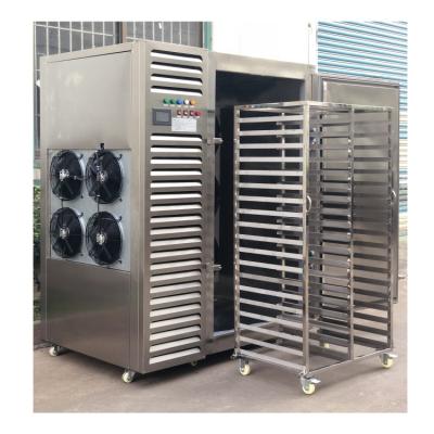 China Frozen Food Machine Blast Freezer Industrial Quick Freezing Equipment for Seafood Chicken Ice Cream for sale