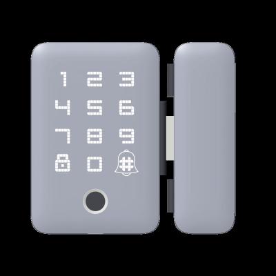 China 2021 smartlock Digital keyless biometric fingerprint keypad sliding smart door sensor glass lock for sale