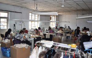 Verified China supplier - Zaoqiang Daying Longshun Fur Factory