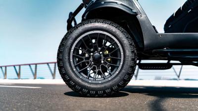 中国 黒い上のゴルフ カートのタイヤ22x10-14の車輪のキット14x7 Aluの縁 販売のため