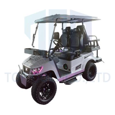 China Wholesale Golf Cart Tinted / Clear Windshield Folding TOP GOLF XL Cart With ESP STREET LEGAL 14 Inch Tire for sale