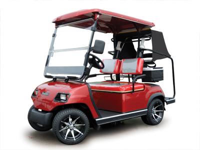 Cina Piccolo carretto di golf elettrico di 2 Seaters 2380*1200*1850mm in vendita