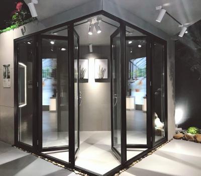 China Modern Exterior Aluminum Vertical Folding Door Supplier for sale