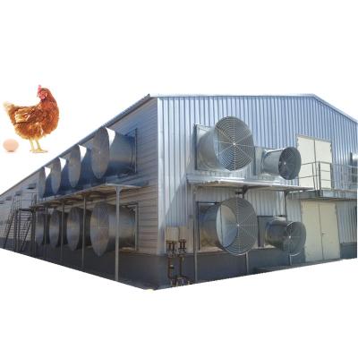 China Farm Factory Price Prefab Steel Structure Shed Commercial Farm House Prefab Broiler Chicken Poultry House for sale