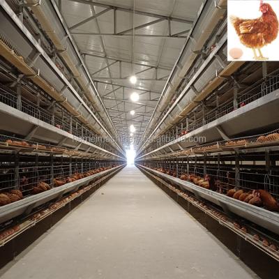 China Safeguard Breeding Cost Automatic Poultry Farming Animal Husbandry Equipment Layer Brid Automatic Layer Battery Cages System for sale