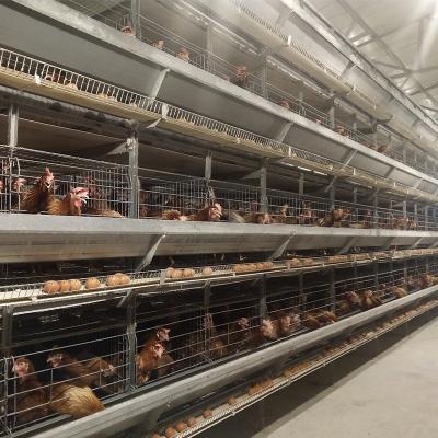 China Australia Philippines England UK Britain Full Automatic Design 3 Row Long Lifespan New 120 Capacity Layer Chicken Cage Poultry Farm for sale