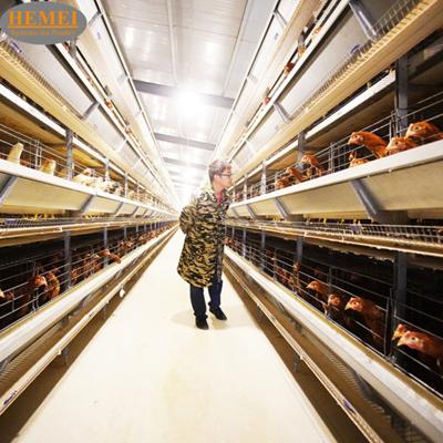 China HEMEI H Egypt Philippines Complete Automatic Type Poultry Equipment Battery Broiler Cage System for sale