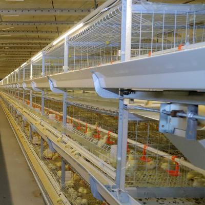 China Full Automatic Design H View Modern Automatic Poultry Broiler Broiler Battery Cages System Chicken for sale