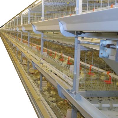 China HEMEI H Full Automatic Automatic View Poultry Broiler Chicken Battery Cages For Layer Chickens for sale