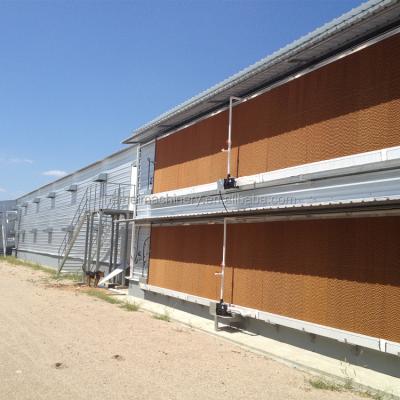 China Commercial Chicken Feeding Environment Controlled Prefab Lightweight Steel Structure Poultry Chicken Cage Farming House EC Poultry House for sale