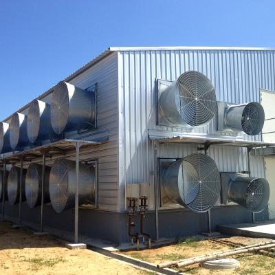 China Commercial Chicken Low Price Chicken House Feeding Design Prefab Steel Broiler Poultry Farm Shed House For 10000 Chickens for sale