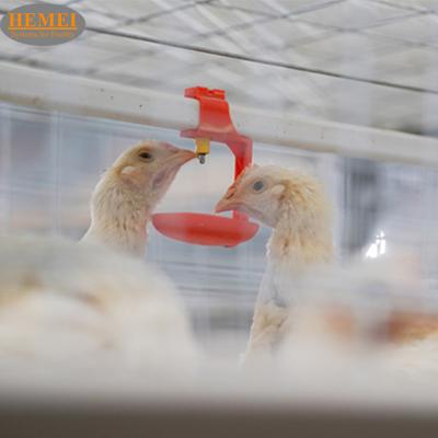 China Poultry Drinker Water Sell Wholesale Manufacturer Price Chicken Cage Water Chicken Drinkers Related for sale