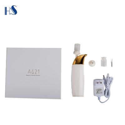 China A021 Polymer Mini Airbrush Atomization For Skin Care Scalp Care On/Off Button Control 1000mah for sale