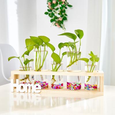 China European simple and creative wooden hydroponic plant dill green vase stand glass bottle decoration December transparent desktop container for sale