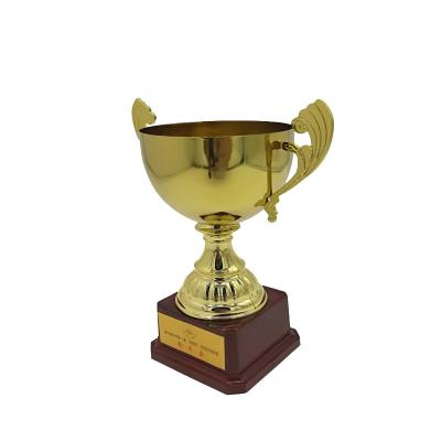 China High Quality Souvenir Sports Metal Trophy Dublin Store for sale