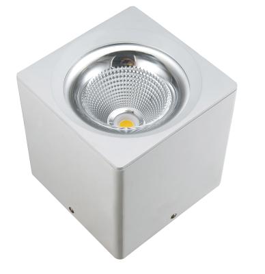 China China Manufacturer 4 Inch 110Mm Modern Warm White 13W LED Cut Downlight for sale